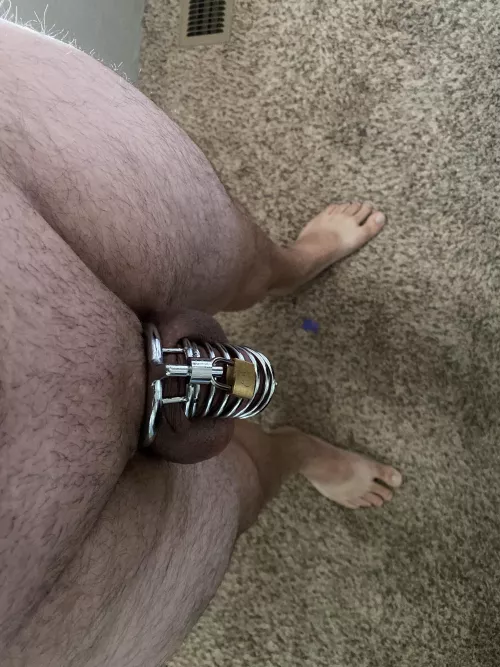 I was home alone and before I could play with myself my wife texted me and told me to put on my cage. by KinkyHusband307
