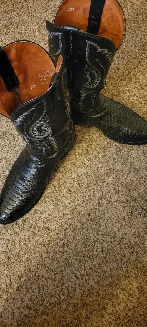 I was lucky enough to come upon a pair of Dan Post lizard skin boots for a bargain. The store owner said that they had been worn a few times, and then the fella who bought them passed away. His wife returned the boots, and the store owner gave her a refu by Whipitrash