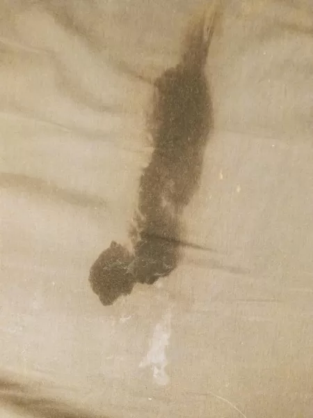 I was sitting in bed editing content and realized I soaked right through my panties! Going through the content I shot always makes me soooo horny!! by Jademaraxo