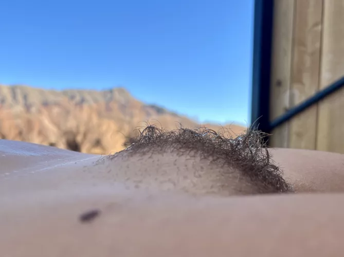 I was trying to match the mountains. What do you think of my mohawk? by tiny_t_cookie