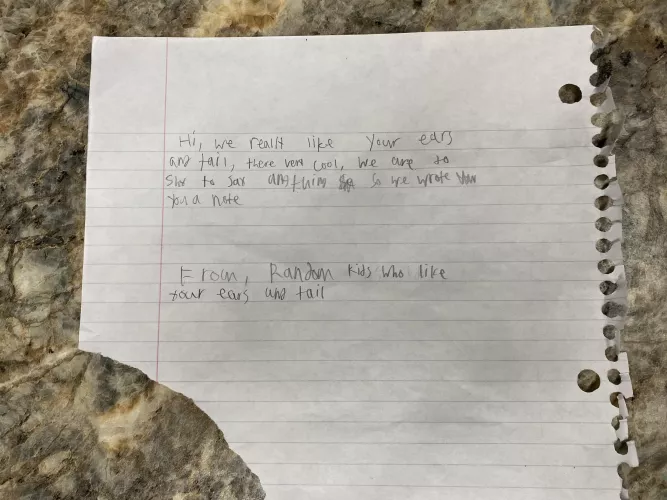 I wear a set of fox ears and a tail on a regular basis, and this morning I found this note on my doorstep, left by some kids in my complex. by shearx