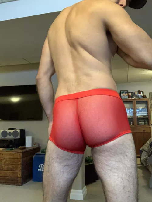 I wonder if Santa will cum down my chimney tonight 😏 by Flashy-Usual-7228