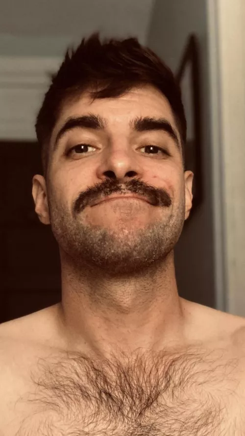 I would always rather be happy than dignified (Charlotte Brontë) by Onwoundedpup