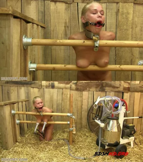 I would love to be be like that ! *moooh* by Subsissypiggy