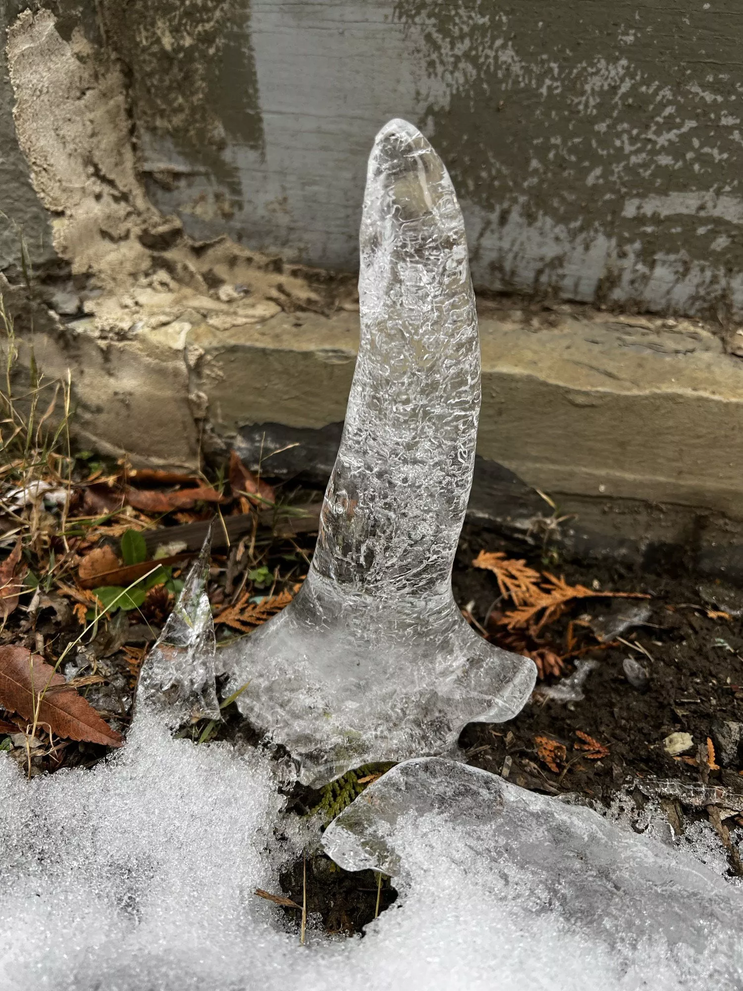 Ice dildo posted by sakuta_1
