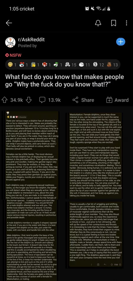 IDontWantToFuckADolphinIDontWantToFuckADolphin by saltykitty69420