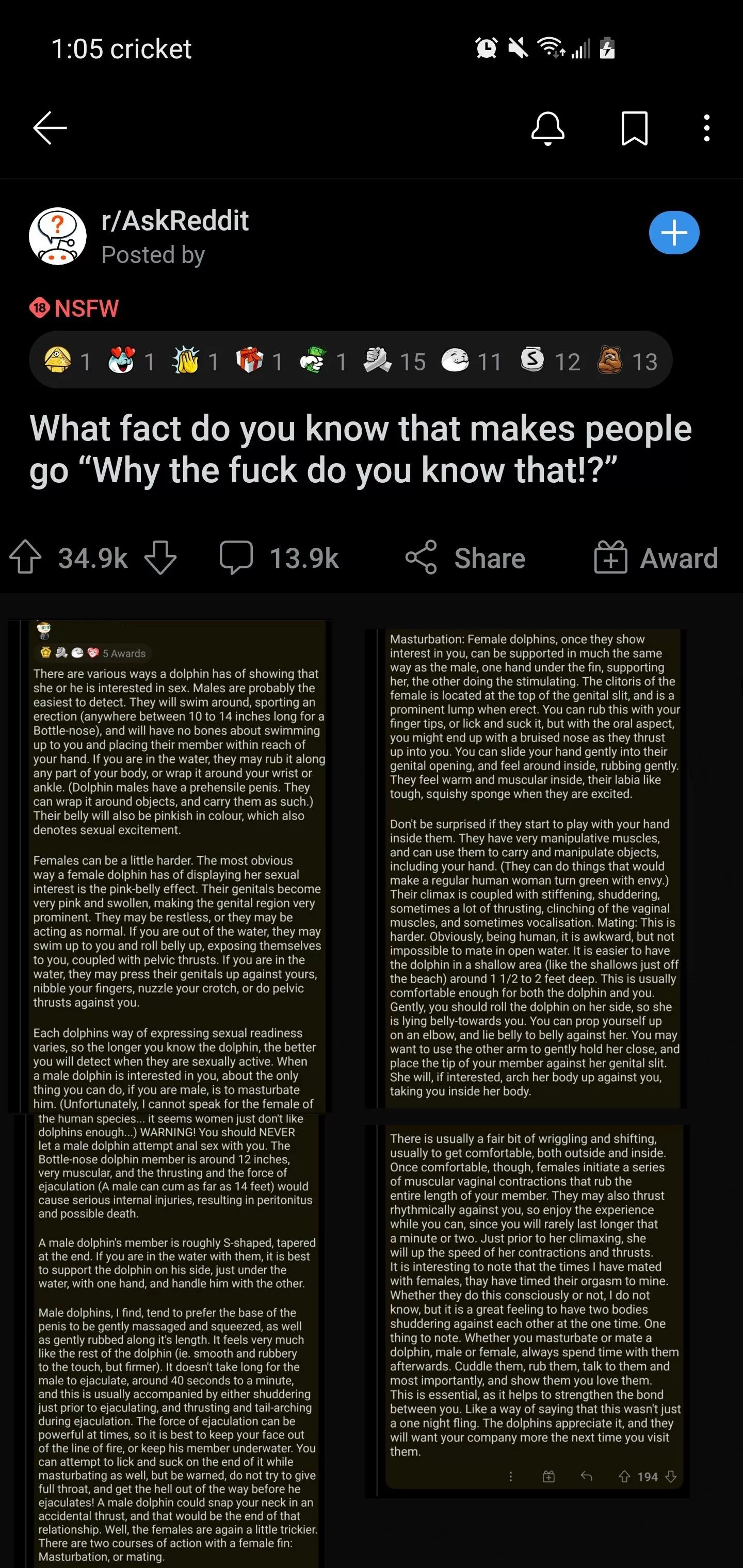 IDontWantToFuckADolphinIDontWantToFuckADolphin posted by saltykitty69420