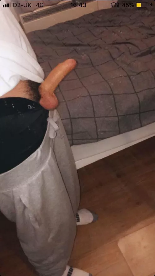 if i asked nicely would you suck my cock 😌😊😈 dm me by alxsdair