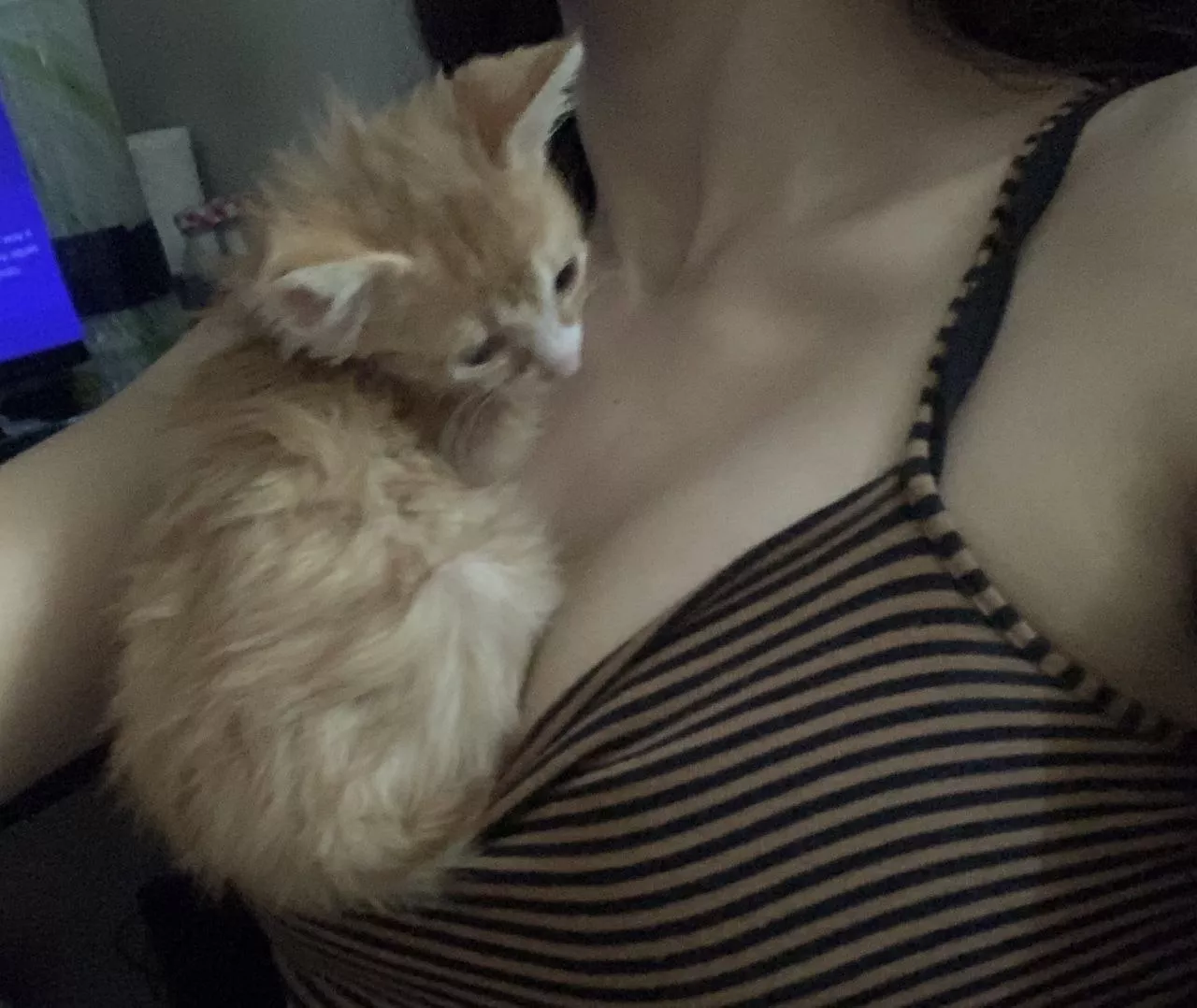 If I made your dick hard, you’re allowed to cum in me....!! posted by Jialissa2day