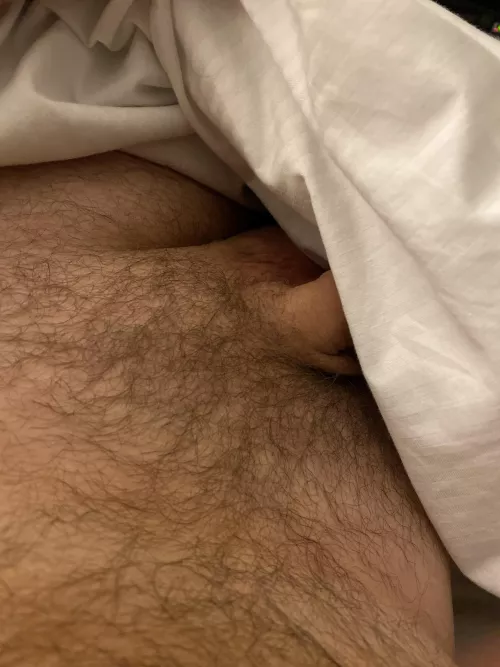 If it’s hairy and you like it…HMU by ConfidentRadish2113