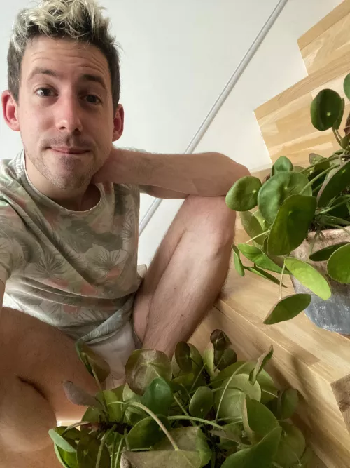 If only moneyplants would actually grow money hah! by JustBrowsingHereThx