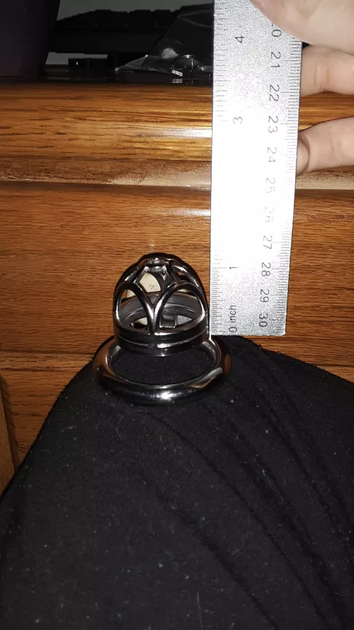 If this gets enough attention I while lock my pp in this 1inch cage until christmas 😣😣 by Muesoc