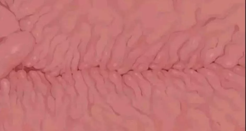 If u can find this or artist please tell me by Hentaipro2739