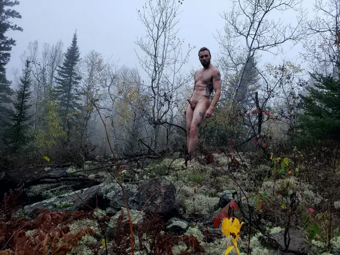 If you found me in the woods would you suck it? by robin_goodfello