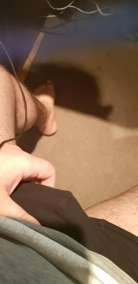 If you help me find my pants you'll get a reward by Ibtis225