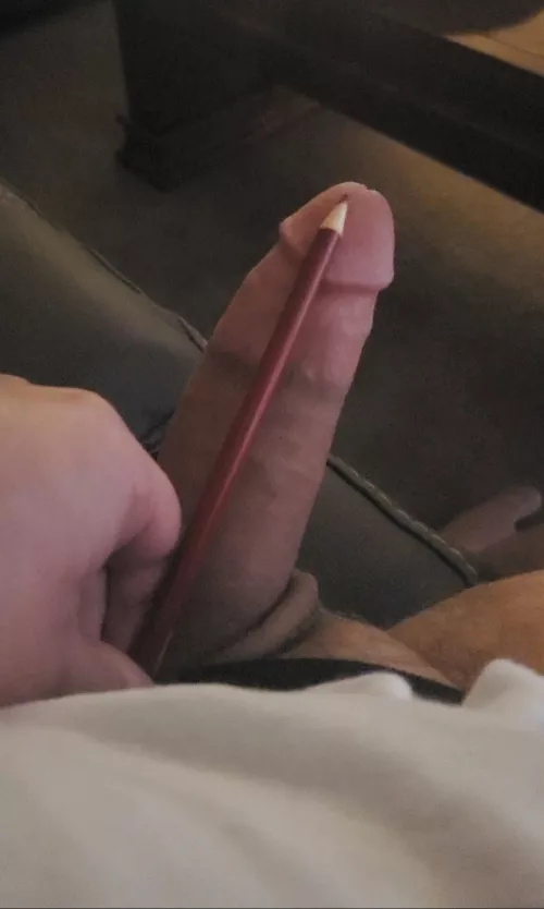 if you look very closely, you can actually see that my dick is hiding behind that pencil... by AssManButTitsAreCool