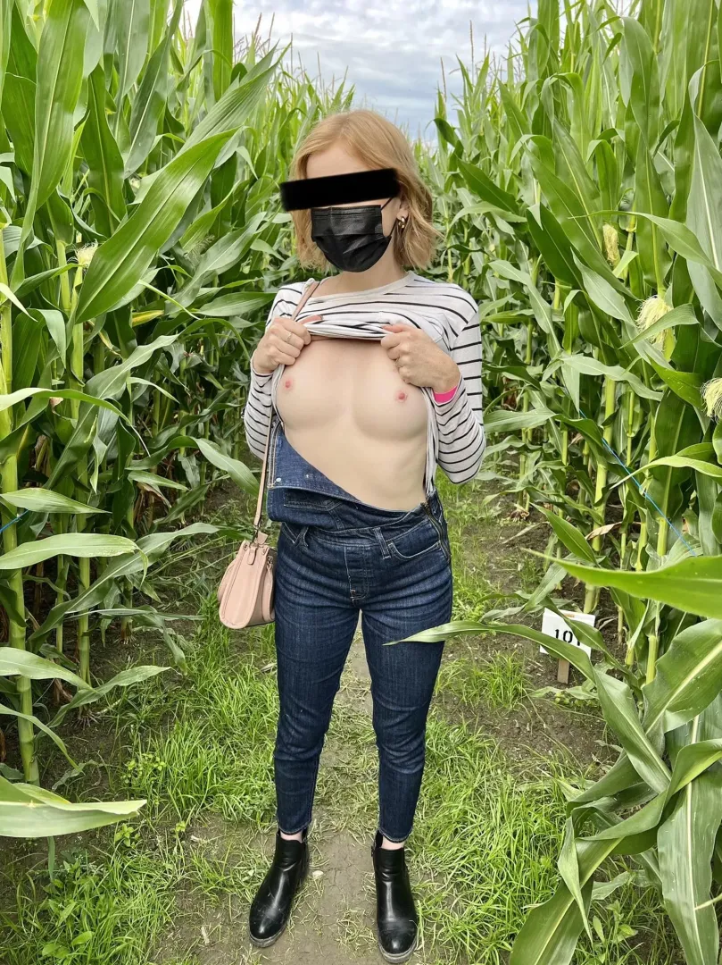 If you would’ve turned right instead of left at the corn maze maybe you’d have seen me [IMG] posted by ACAB92