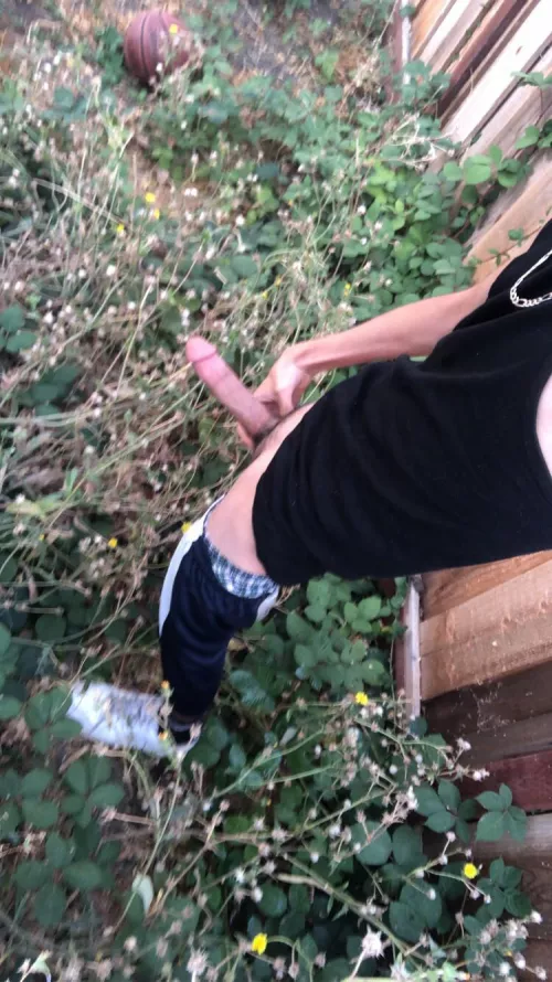 ⬆️ If You’ll Suck Me Outside by Bigvic1738