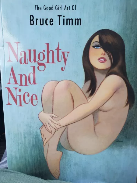If you're a fan of Bruce Timm you need this book. [The Good Girl Art of Bruce Timm Naughty and Nice] by Thayerphotos