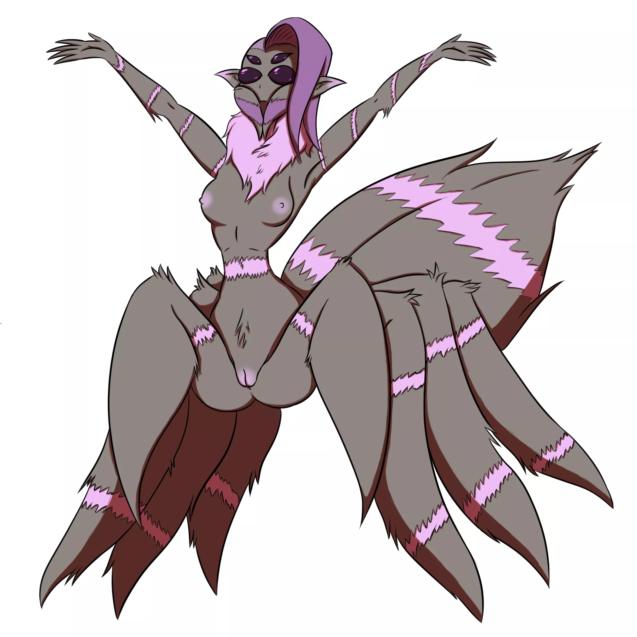 Ilithyia the Jumping Spider [oc] posted by Atlas290