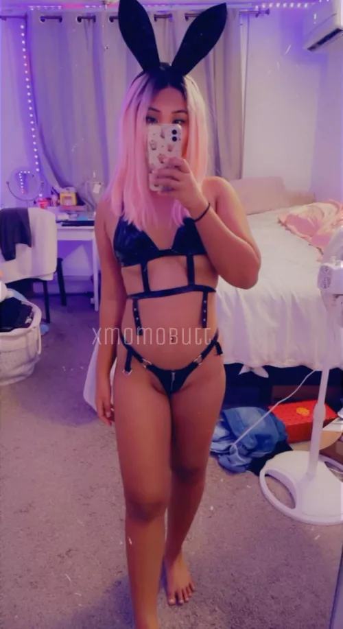 I’ll be your favorite Asian bunny by xmomobutt