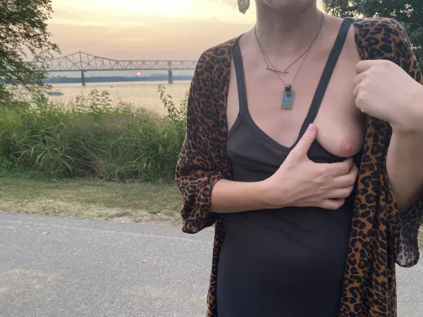 I’ll have to take them both out for the next sunset by FreeRangePussy