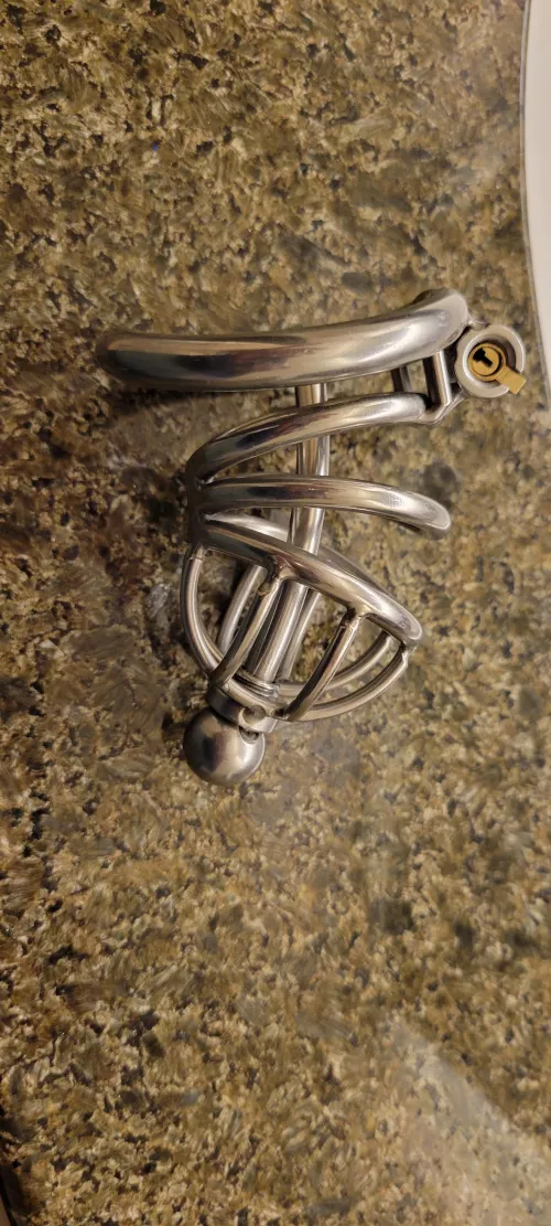 I'll leave it up to the internet, should I put the cage on and for how long? by FrumpyBuffalo14