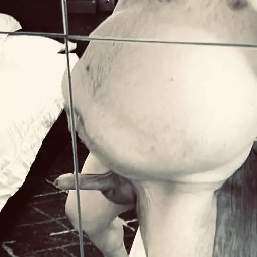 I’ll lift my belly, you get on your knees and suck, ok? by BigBiChub_