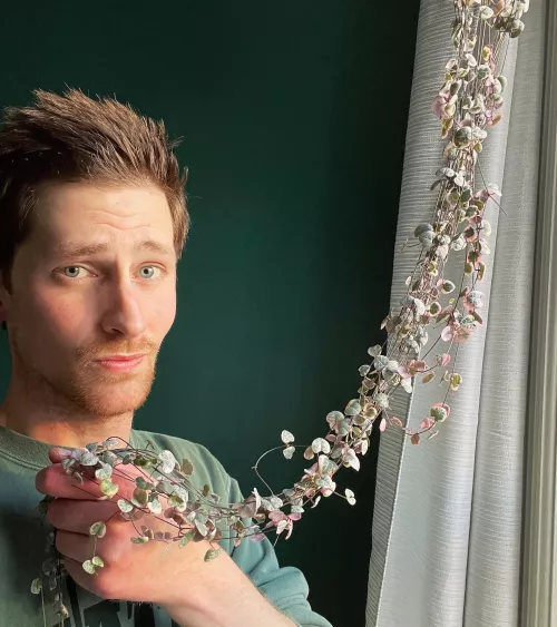 I’ll pay someone good money to come untangle this plant 😵‍💫 by Plantpapa33