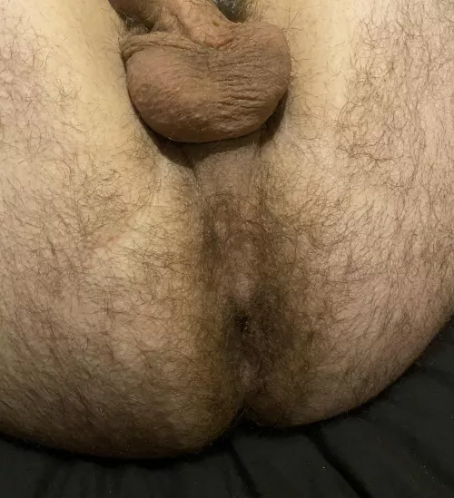 I’ll watch while you eat my boyfriends hairy ass! by trhwtt