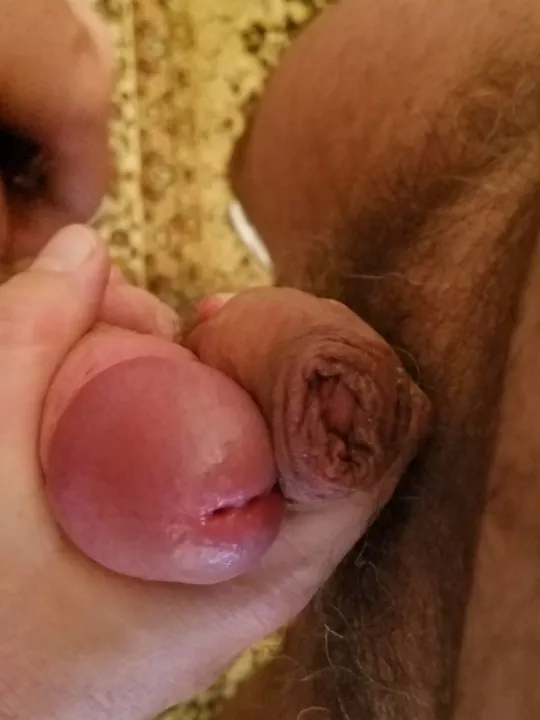 Illinois buds . posted by ActuatorTraining6448