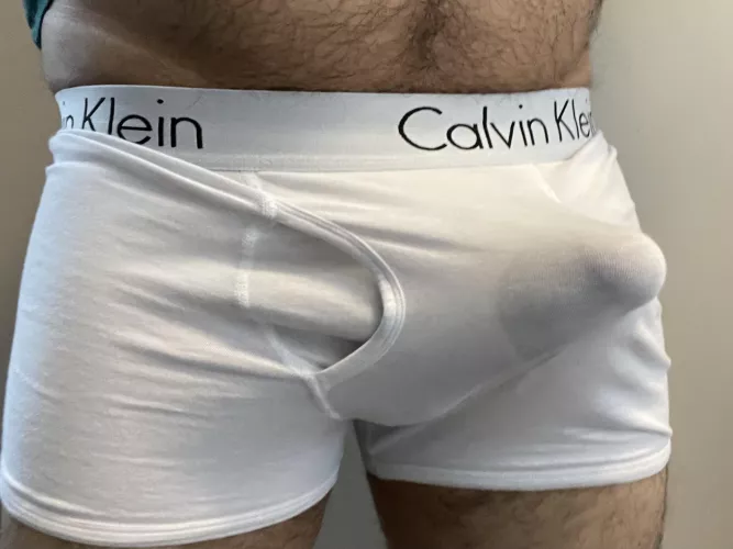 I’m a big Calvin Klein fan.. by brownbull90210