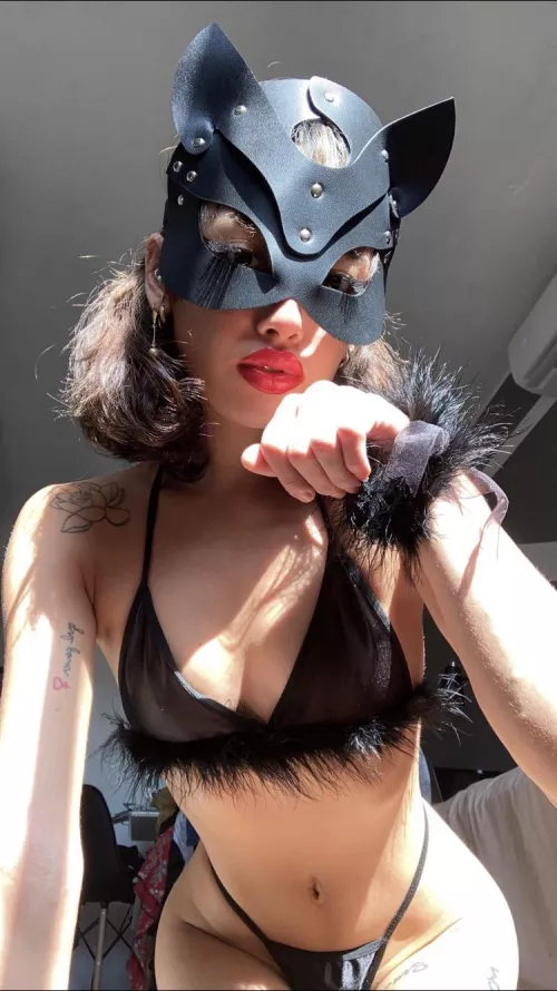 I’m a cat. Duh by BodybuilderRegular52