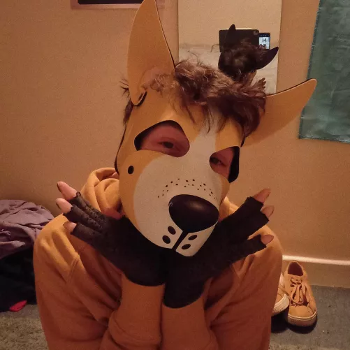 I'm a good boy, right? by polyampup