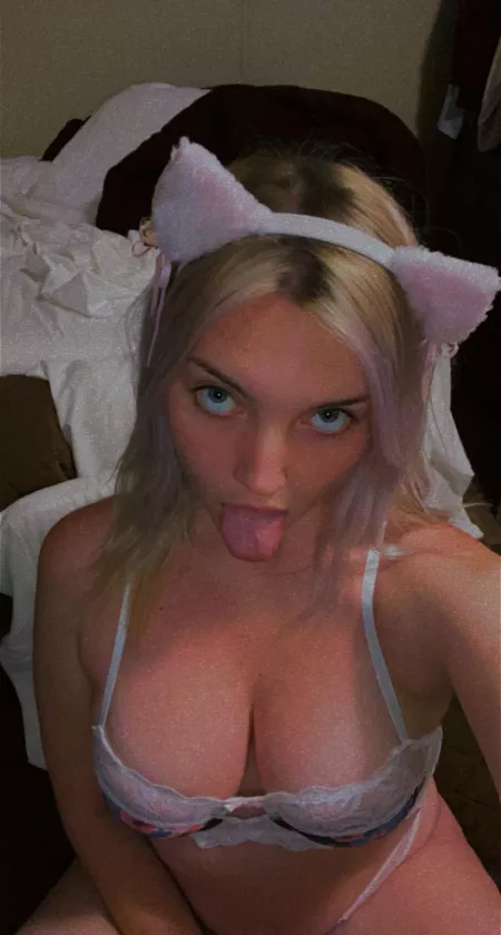 I’m a good kitty daddy by Bribribabybiz