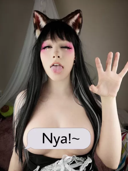 I’m a horny wet kitty!!:3 Sub to my OF for: 🌸1on1 DMs🌸Custom Content🌸Solo🌸POV🌸JOI🌸B/G🌸Tight pink pussy🌸32D tits🌸Pierced nipples🌸Kawaii Elf/Neko/Bunny Cosplay🌸Over 370 pics & vids!🌸FULL NUDES🤤 by PriscillaWolff