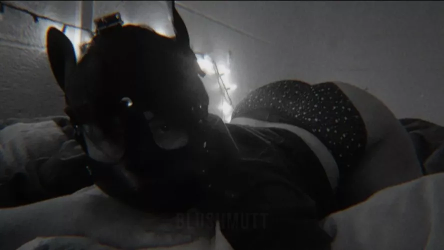 Im a Mutt (he/they/it) by Hyenaslxt