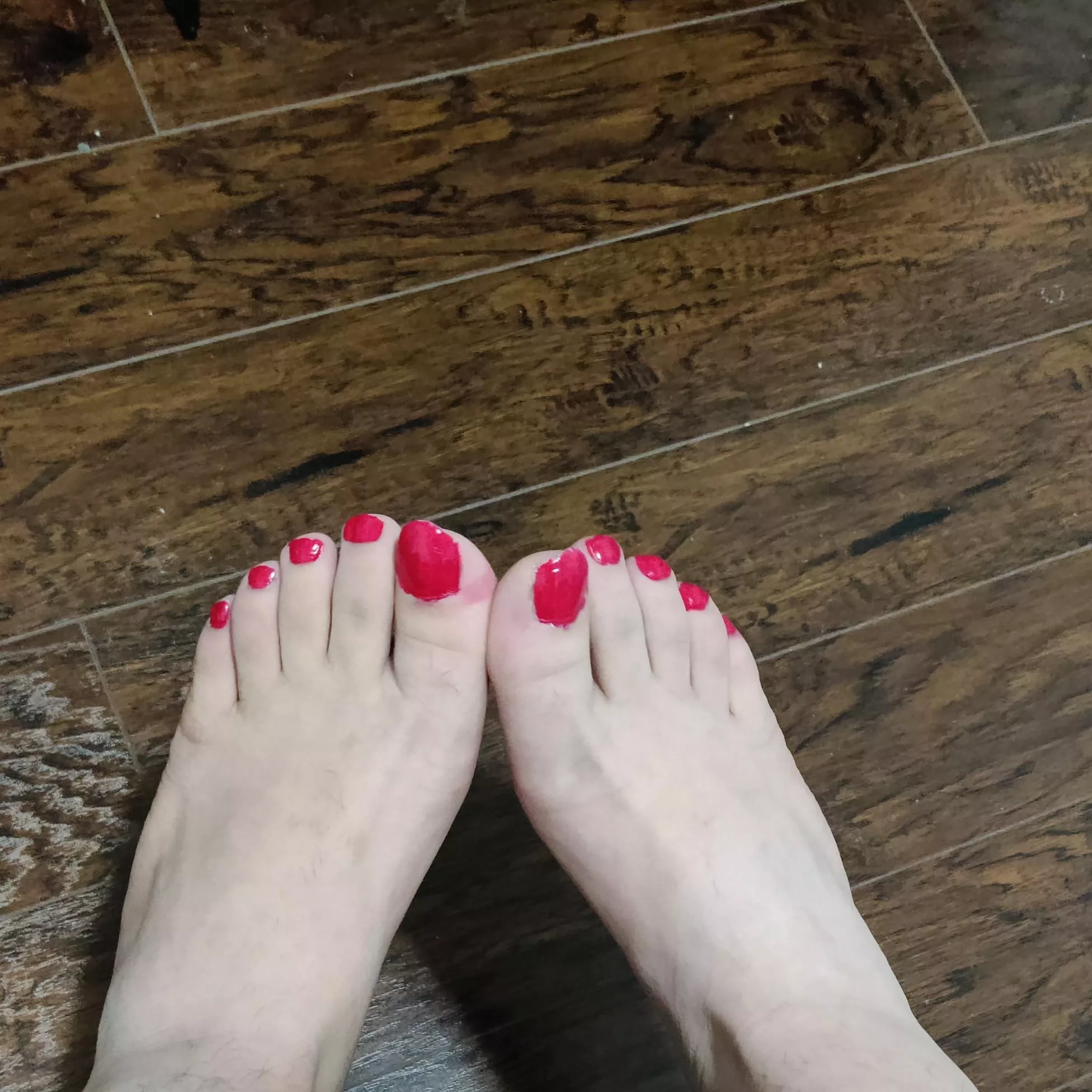 I'm a new CD - are they femme? 😅 posted by hmmlolok