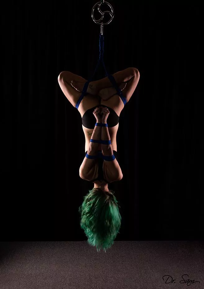 I’m a paintbrush! R: Dr. Sam posted by DisasterEditionAt9