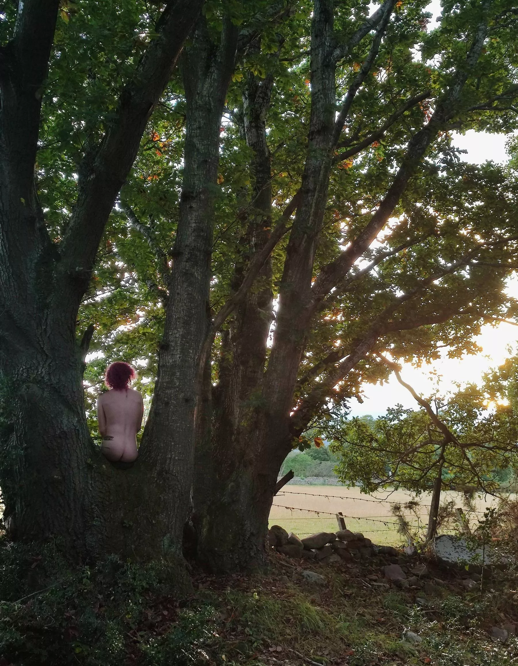 I'm a tree nymph posted by AmberBatShark