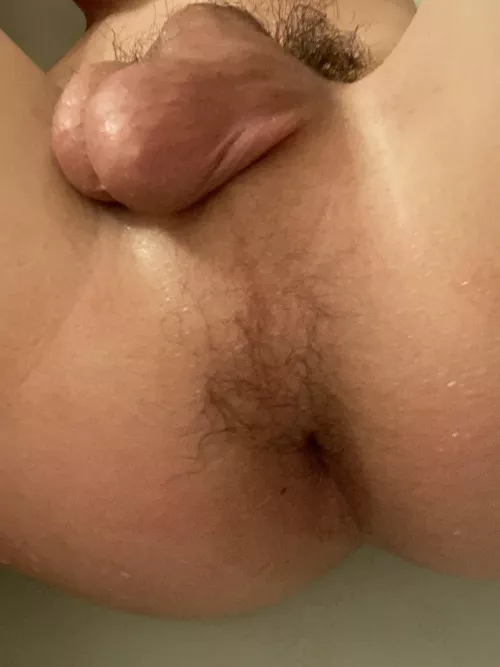 I’m back by West-Conversation74