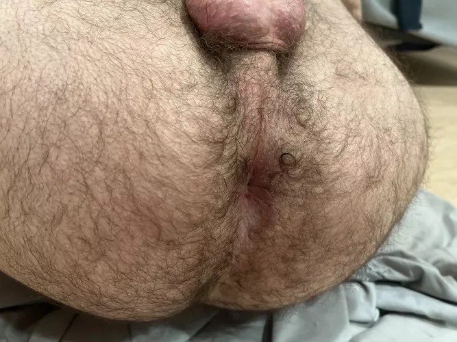 I’m back by nostromo1803