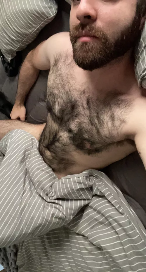 I’m basically a bear in human form by duke_fistington