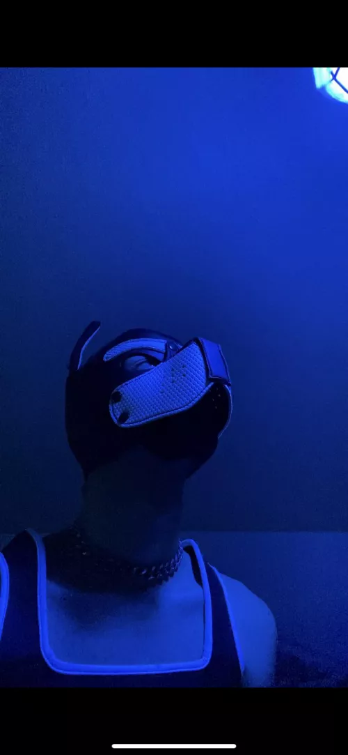 I’m blue dabudee by No-Arachnid-4901