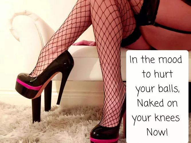 I'm bored...[domme] by cheeeeekymissy