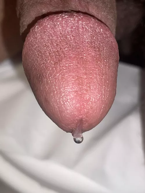 I’m dripping honey, who wants some ? by Leather_Raspberry_35