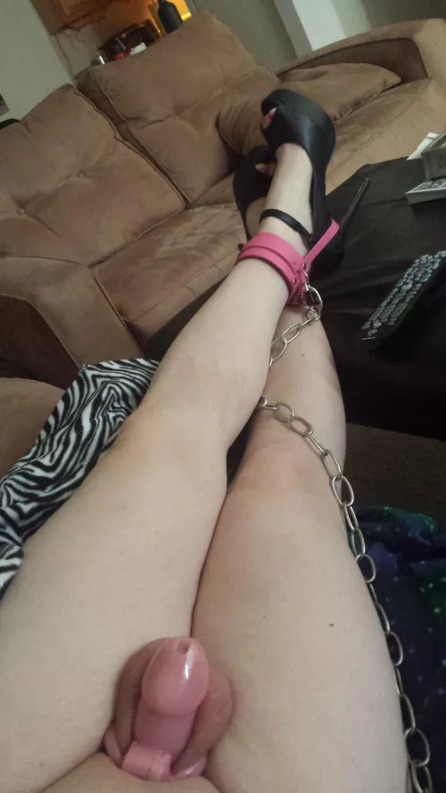 Im feeling very slutty and naughty. My DMs and inbox is open to all degrading and humiliating messages about what you would do to me, or what you want me to do. Ill try to reply to as many as I can x by ClosetSissie9