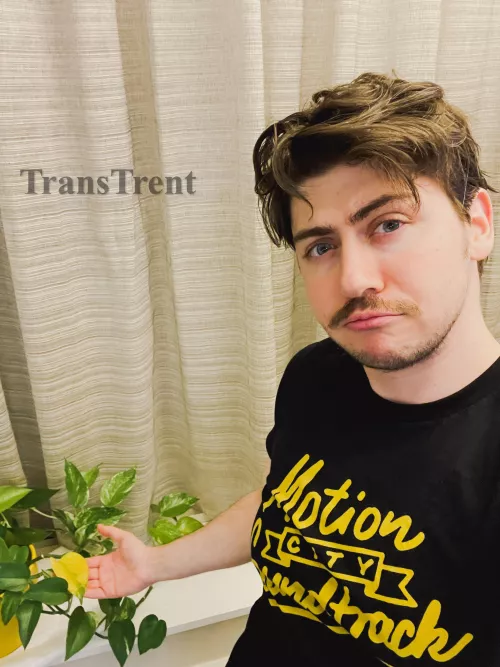 I’m fine by TransTrent