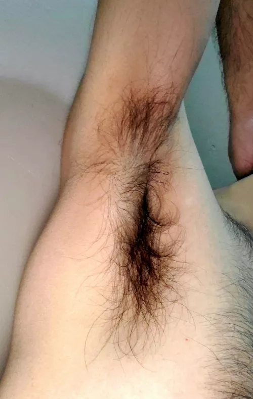 I'm hiding a bush under here ;) by OneShotRicoleto