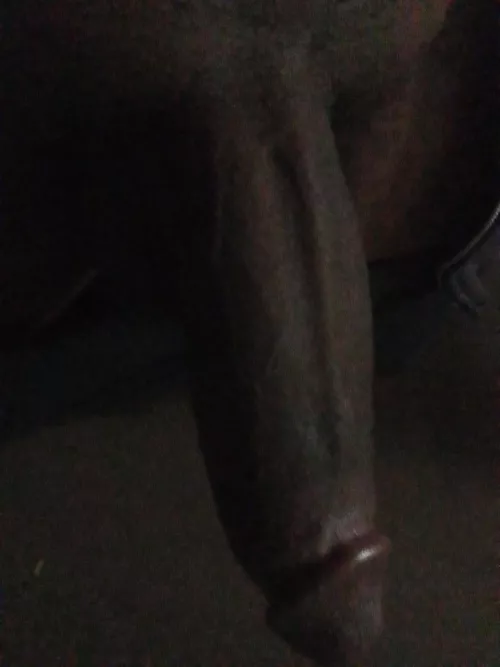 I'm horny. Dm me [OC] by DarkKingDragoon